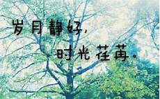 5年级语文5年级语文各位家长可以用这套统编版2021年春小学语文5年级下